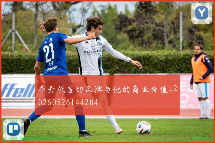 乔丹代言的品牌与他的商业价值_20260526144204
