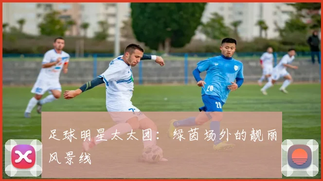 足球明星太太团：绿茵场外的靓丽风景线