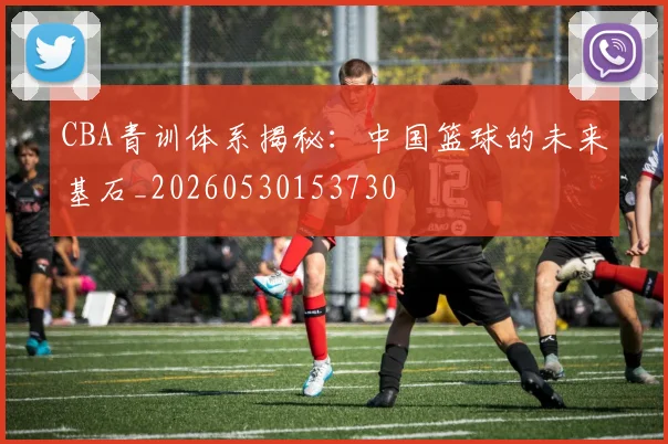 CBA青训体系揭秘：中国篮球的未来基石_20260530153730