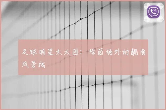 足球明星太太团:绿茵场外的靓丽风景线